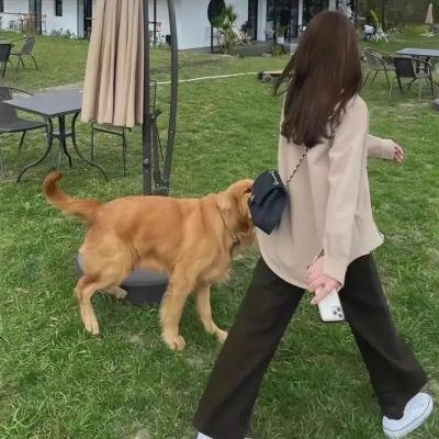 进行曲